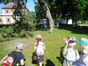 Celodenní výlet Mnichovo Hradiště